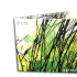 4 Panel CD Digipak