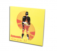 CD Cardboard Jacket